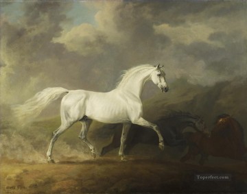 馬 Painting - am078D 動物 馬